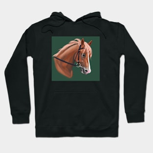 Horse Hoodie